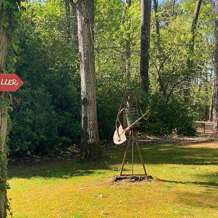 Le Petit Poulailler Au Beau Milieu Des Pins Villa Lacanau Exterior photo