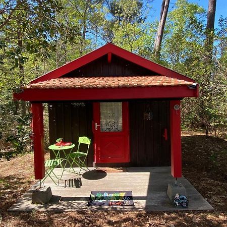 Le Petit Poulailler Au Beau Milieu Des Pins Villa Lacanau Exterior photo