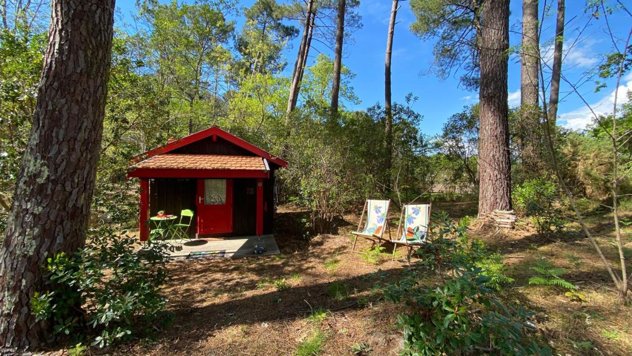 Le Petit Poulailler Au Beau Milieu Des Pins Villa Lacanau Exterior photo