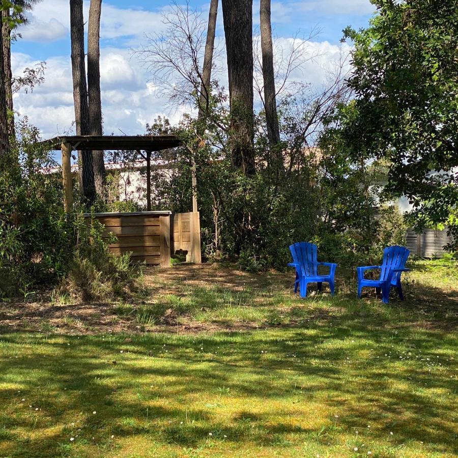 Le Petit Poulailler Au Beau Milieu Des Pins Villa Lacanau Exterior photo