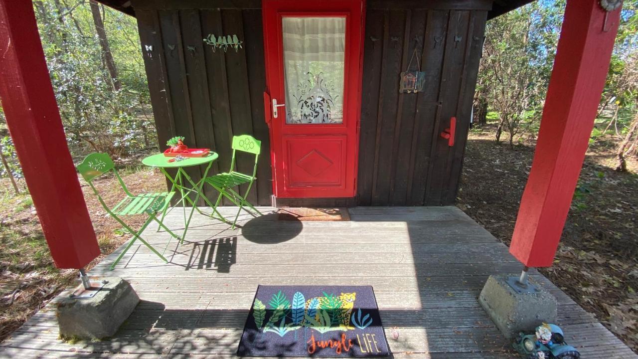Le Petit Poulailler Au Beau Milieu Des Pins Villa Lacanau Exterior photo
