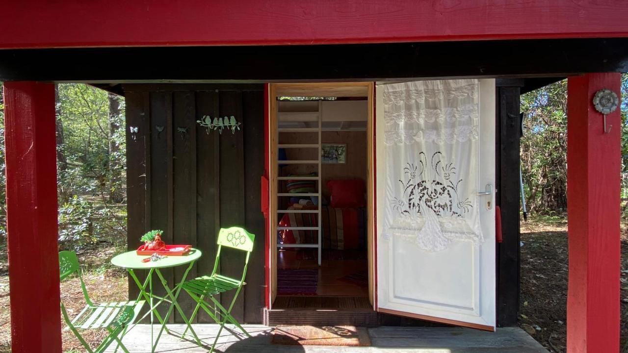 Le Petit Poulailler Au Beau Milieu Des Pins Villa Lacanau Exterior photo