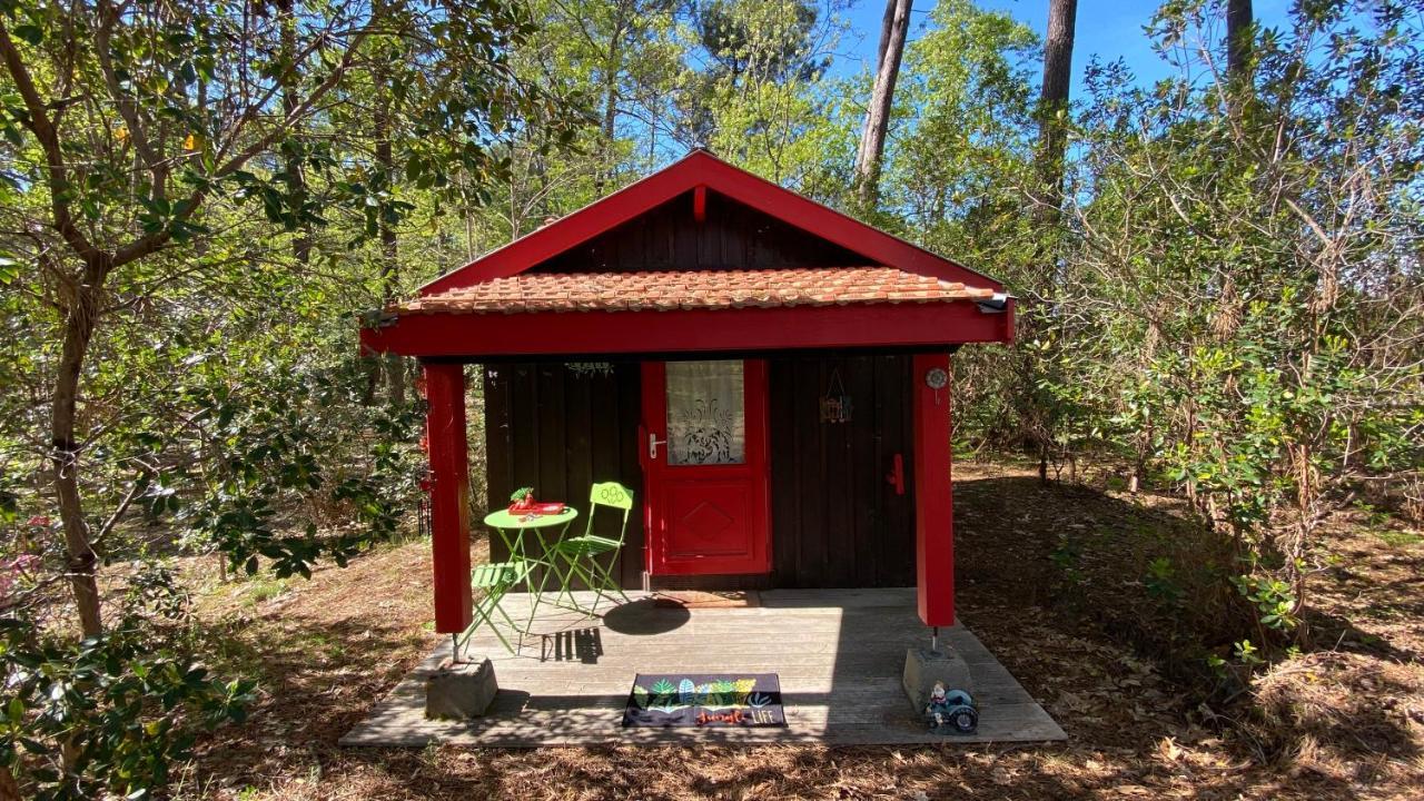 Le Petit Poulailler Au Beau Milieu Des Pins Villa Lacanau Exterior photo