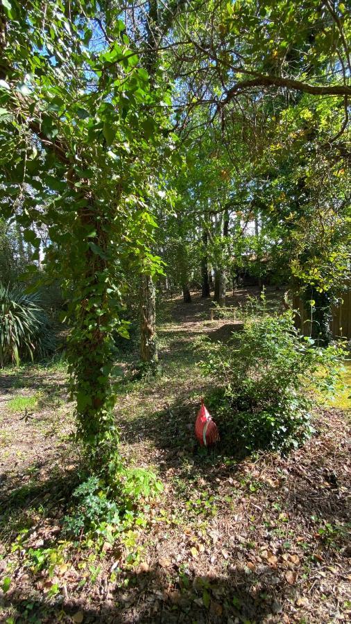 Le Petit Poulailler Au Beau Milieu Des Pins Villa Lacanau Exterior photo