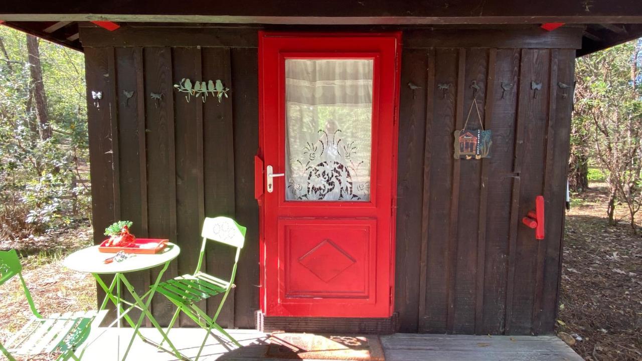 Le Petit Poulailler Au Beau Milieu Des Pins Villa Lacanau Exterior photo