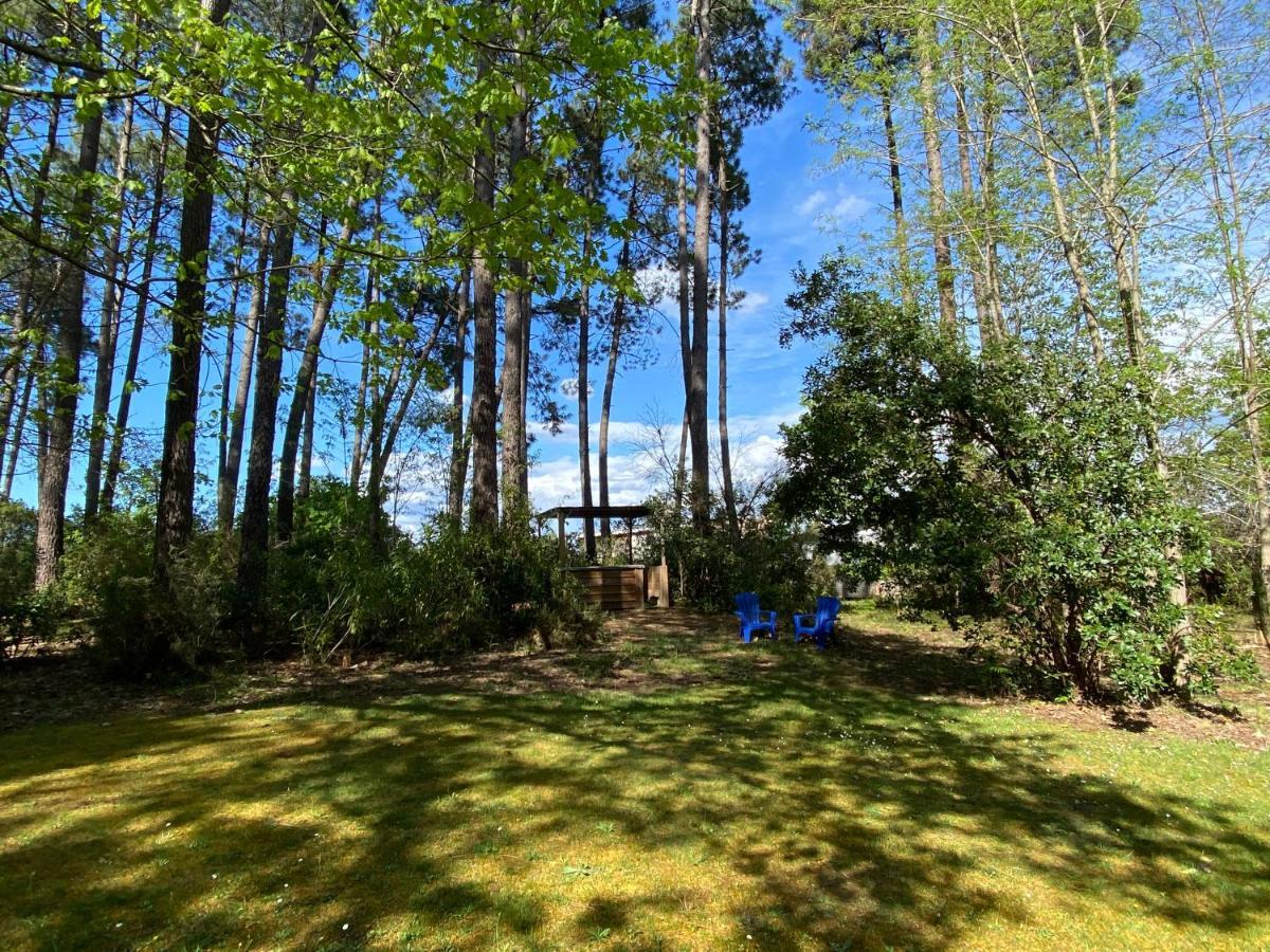 Le Petit Poulailler Au Beau Milieu Des Pins Villa Lacanau Exterior photo